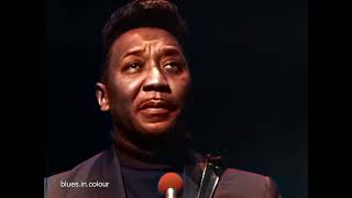 Muddy Waters  Train Fare Blues live Colourised 1968 [upl. by Brendin]