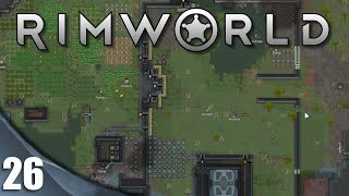 RIMWORLD T2  26  DOBLE MURALLA  Gameplay Español [upl. by Jeanie181]