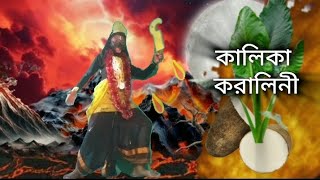 নবপত্রিকায় কচু গাছ এ অধিষ্ঠান করেন দেবী কালিকা ❤️🙏নবপত্রিকায়দেবীবরণ নয়টিদেবী vairal zbm 2023 [upl. by Sherwynd]