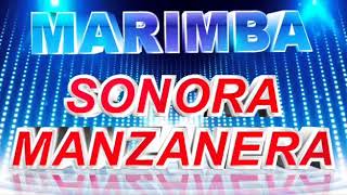 Sonora Manzanera Mix Duranguense [upl. by Yelraf]