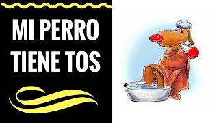 🛑 TOS DE LAS PERRERAS 👉 SINTOMAS Y TRATAMIENTO ADENTRO 👈 👀 🐶 🐾 🐩🛑 [upl. by Ppilihp]