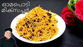 How to make Sev mixture  tasty mixture recipe  shamilas tasty recipe  agra famous mixture [upl. by Otrebire]