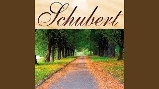 Serenata D957  Schubert [upl. by Atsedom]