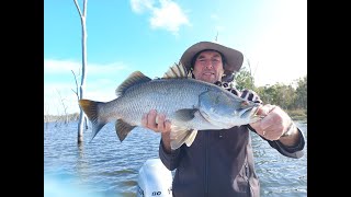 Epic Barra Fishing at Lake Monduran [upl. by Ajad671]