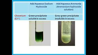 Tests for Cations and Anions  IGCSE Chemistry  Dr Hanaa Assil [upl. by Eikin]