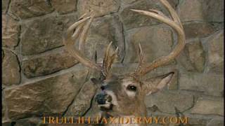 True LIfe Taxidermy 30second spot for 2009 [upl. by Sharity]