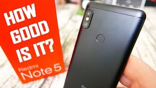 REDMI NOTE 5 CAMERA Review  How Good Is It [upl. by Ajay]