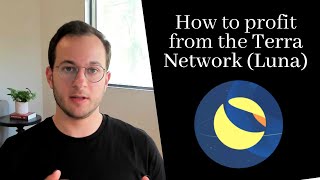 Terra Network LUNA Everything you need to know [upl. by Enieledam67]