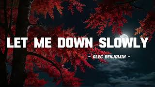 Alec Benjamin  Let Me Down Slowly Lyrics [upl. by Enaelem]