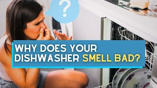 Why Does Your Dishwasher Smell Bad [upl. by Rattray]