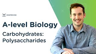 Carbohydrates Polysaccharides  Alevel Biology  OCR AQA Edexcel [upl. by Kurtzig]