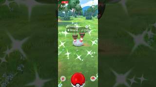 ✨I Caught THIS Shiny Pokemon During Spotlight Hour in Pokemon Go✨ shorts pokemon [upl. by Ravaj]