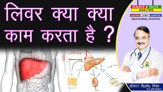 लिवर क्या क्या काम करता है   liver general function [upl. by Petersen916]