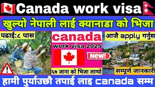 Canada Working Visa For Nepali 2025  Canada Work Permit Visa For Nepali  Canada working visa [upl. by Odnanreh]