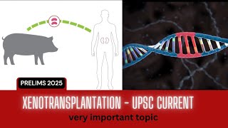 XENOTRANSPLANTATION  CURRENT AFFAIRS VERY IMPORTANT TOPIC  Daily quiz  currentaffairs upsc [upl. by Durtschi]