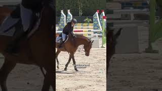 horse horseshowlife horseenthusiast equestrian horseplay horsefan edit horsegirlenergy [upl. by Einnij]