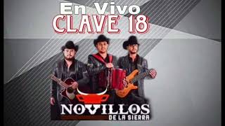 Clave 18 Novillos De La Sierra  En Vivo [upl. by Hilbert]