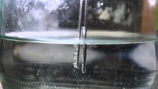 Double Distilled Water Test [upl. by Hoye]