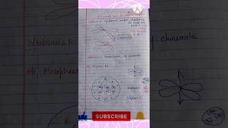 Meiosis Prophase 1  Leptotene  Zygotene  Pachytene  Diplotene  Diakinesis  Flow chart [upl. by Adnalue712]