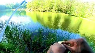 Babcock State Park  Fayetteville West Virginia  Large Mouth Bass Fishing [upl. by Ahsinet]