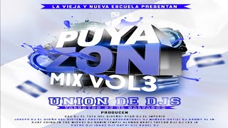 Mega Loco Mix Lo Mejor By DJ Lex ID La Potencia Auditiva  Puyazon Mix Vol3 [upl. by Nosniv673]