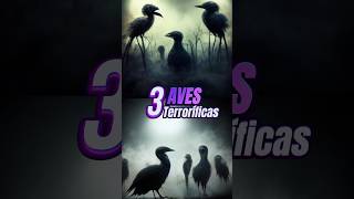 Las 3 AVES más TERRORÍFICAS del MUNDO😱 curiosidades animalesincreibles animales viral aves [upl. by Etteluap]