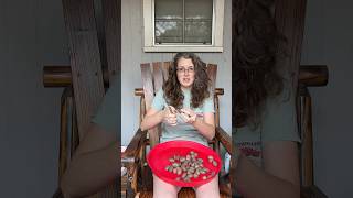 Shelling pecans pecan louisiana garden [upl. by Sundstrom]