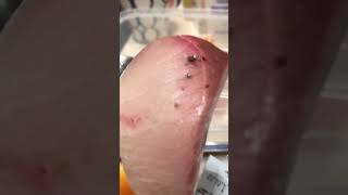 SASHIMI HAMACHI hongkong food asmr viralvideo seafood sashimi hamachi rawfood [upl. by Lowrance]