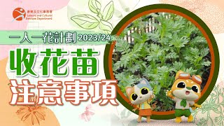 一人一花計劃202324 收花苗注意事項 One People One Flower Scheme 202324 Notes on Receiving Seedlings [upl. by Nilat750]