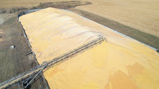 PILING UP THE CORN IN IOWA AND FAST ACTION ON THE UNION PACIFIC DRONE VIEWS [upl. by Odnanreh]