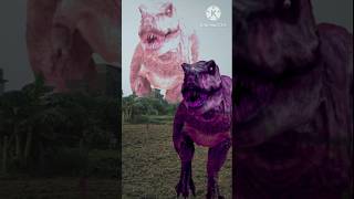 T  rex  chase dinosaur dinasaur  dinosaur  dinosaur dinosaur  dinosaur 🦖 [upl. by Larena]