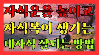 자식운이 없는 사람들 꼭 보세요 내자식 잘되게 하는 방법 나도 자식복이 생기는 방법 [upl. by Harberd]