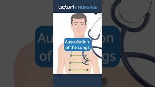 Lung Auscultation Essentials for Nurses 👩‍⚕️ NursingTechniques PatientAssessment nclex [upl. by Elokcin]