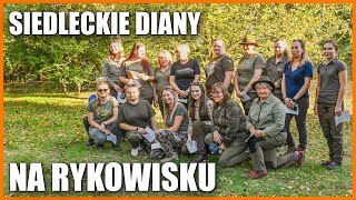 Siedleckie Diany wyruszyły na rykowisko [upl. by Ynatirb]