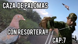 caza de palomas con resortera tiros a larga distancia  slingshot resortera tirachinas [upl. by Alra]