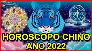 Horóscopo Chino 2022  Año del Tigre de Agua [upl. by Zerimar]