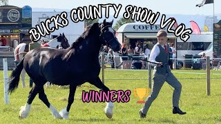 GAMBLER COMPETES AT BUCKS COUNTY HORSE SHOW VLOG  CHAMPIONS [upl. by Hau949]