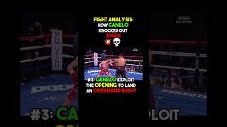 Fight Analysis CaneloKhan Knockout shorts [upl. by Nmutua]