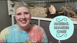 NATURAL HAMSTER CAGE PART 4  FINISHED CAGE TOUR [upl. by Nwahsyt172]