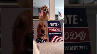 My dog ran for president [upl. by Notsuoh]