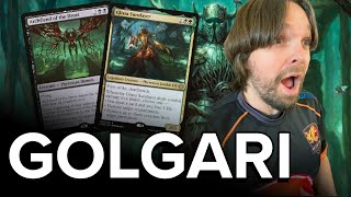 Golgari Gets an Upgrade In Standard [upl. by Nnairac]