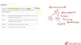 Assertion  Primary spermatocytes of testes are haploid  Reason  Primary spermatocytes [upl. by Hsiri]