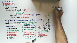 Meiosis  Cell Division  NMDCAT 2021 [upl. by Natye]