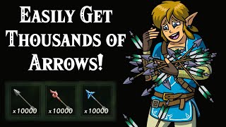 How to EASILY Get THOUSANDS of Arrows in Zelda Breath of the Wild [upl. by Gisella]