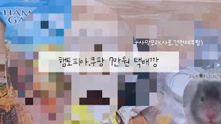 햄토피아쿠팡에서 산 7만원 택배깡📦🚚내돈내산💲🤑햄테리어🌿찰떡골든햄스터🐹 [upl. by Esmerelda]