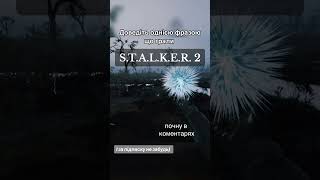 stalker stalker2 stalkers stalker2heartofchernobyl [upl. by Nahtnaoj]