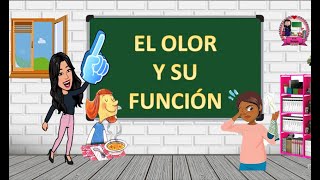 El olor y su función El sentido del olfato [upl. by Eleon204]