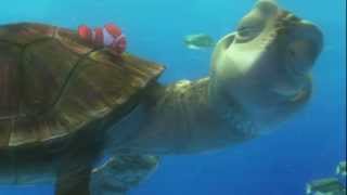 FINDING NEMO 3D Clip  The EAC [upl. by Gnni925]