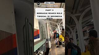 Reaksi Bule Tinggal Di Indonesia Pohon Besar Bikin Kesurupan⁉️ reaksibule shorts viralvideo [upl. by Isolde]