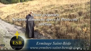 Alléluia Cantate Domino du 16e dimanche après la Pentecôte  Ermitage SaintBède JC Guerguy CAL [upl. by Arelus253]